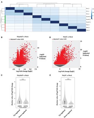 Analysis of Global Transcriptome Change in Mouse Embryonic Fibroblasts After dsDNA and dsRNA Viral Mimic Stimulation